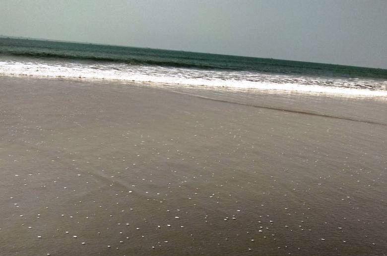 Saritas Guest House - Bogmalo Beach エクステリア 写真